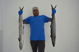SEER 4 KG to 6 KG HORK